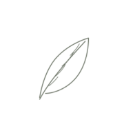 Aevilo - Icon - Natürlichkeit Icon Natürlichkeit - Aevilo