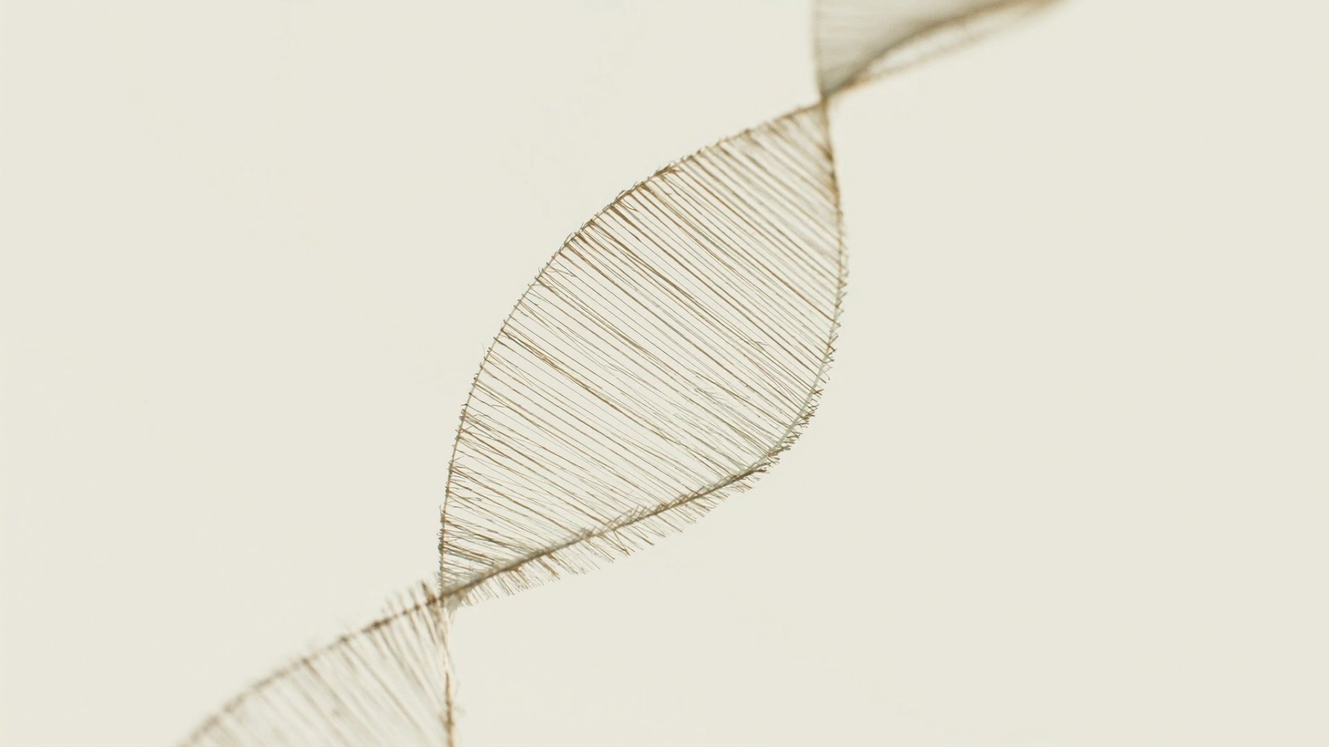 Regenerate – Polynukleotide Regenerate – Polynukleotide